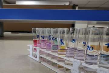 photo29621351824